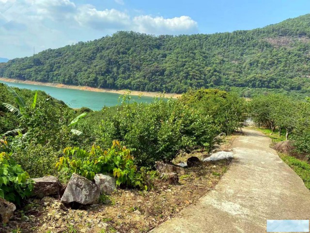 从化区流溪旅游区河湖边30亩果园房屋农庄整体转让