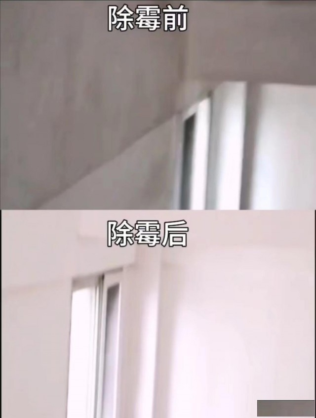 广州除霉公司，上门除霉，处理房屋霉渍霉斑