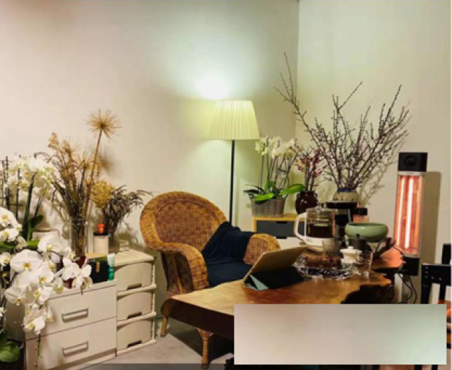 伟而特温暖您的书房