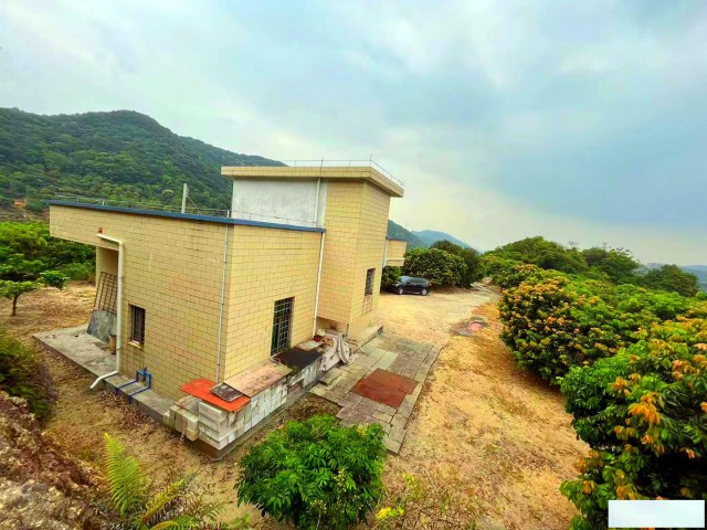 从化温泉旅游区附近15亩山顶果园房屋农庄整体转让