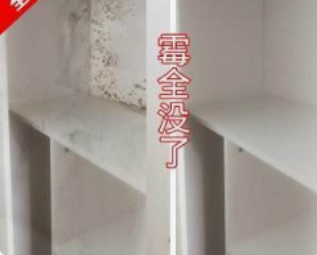 广州海珠区房子发霉处理，清洁发霉，清除墙角墙体霉渍霉菌