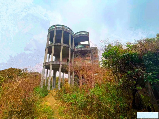 从化区太平镇5亩庄园650平方楼房别墅整体转让