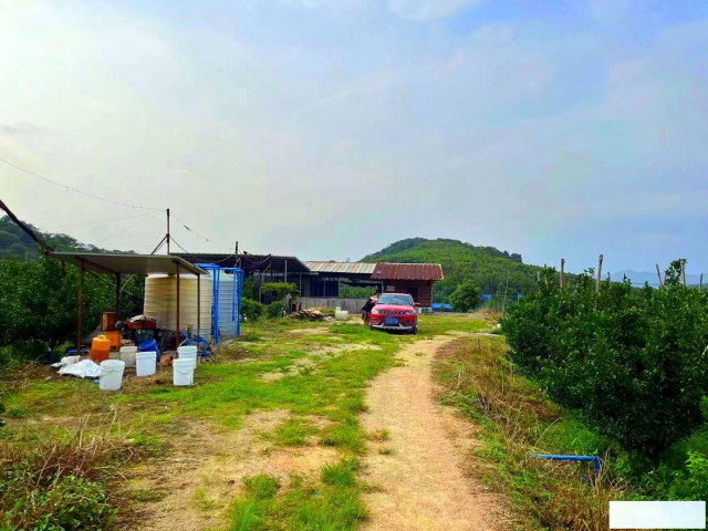 从化区鳌头镇人和附近83亩果园农庄房屋整体转让