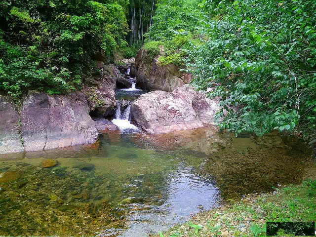 从化区温泉石门旅游区溪水边30亩山地果园整体转让