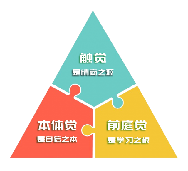 杭州感统之家科技教育有限公司