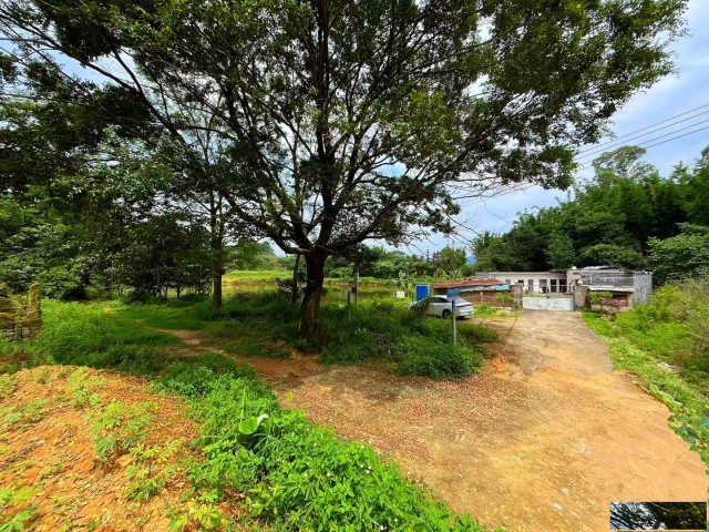 从化区吕田镇附近20亩庄园平地鱼塘房屋整体转让