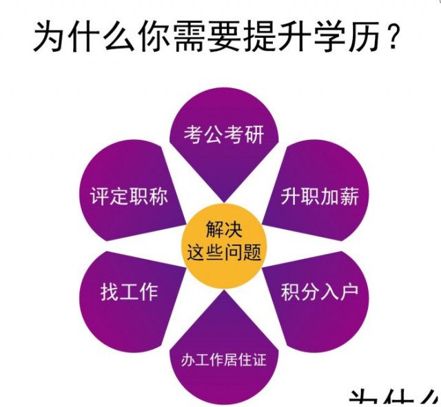 2024年济宁成人高考报名条件步骤表与招生电话