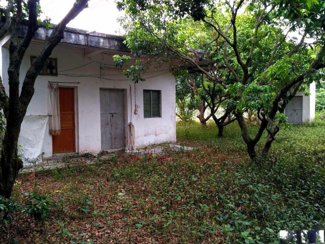 从化区城郊街溪水边3.5亩果园楼房农庄整体转让