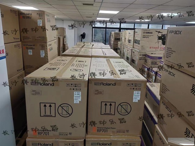 长沙地区电钢琴乐器音箱长沙律动乐器批发零售设备租赁
