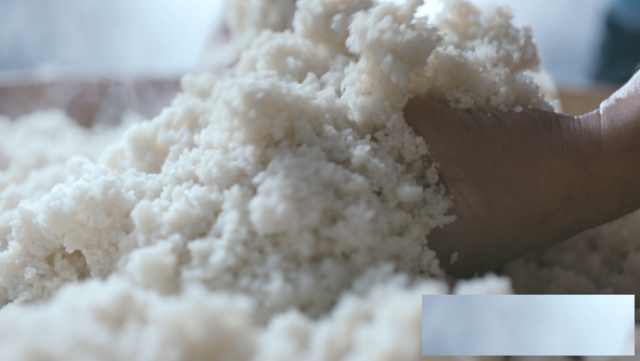 广东农科院水稻研究所参观远航酒业，领略高端米香