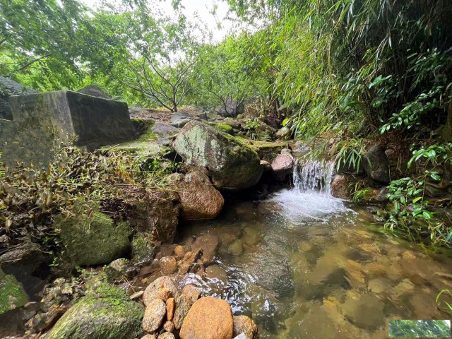 从化区良口旅游区附近溪水边2.5亩果园整体转让