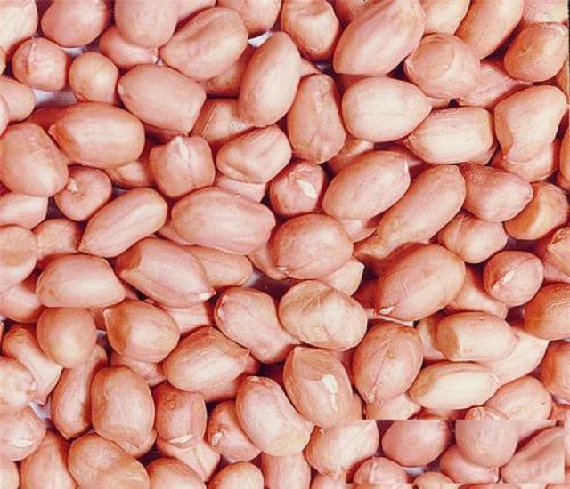 剖析花生进口清关代理：畅通清关之道