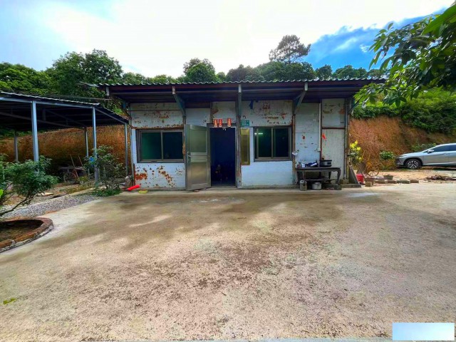 从化区良口镇附近18亩山地果园农庄整体转让