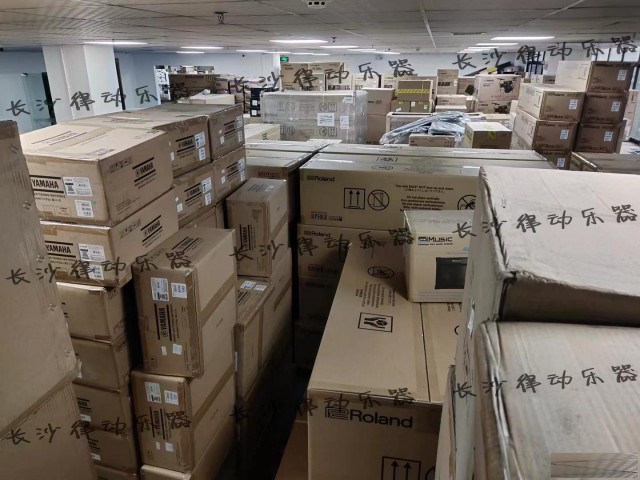 长沙地区电钢琴乐器音箱长沙律动乐器批发零售设备租赁