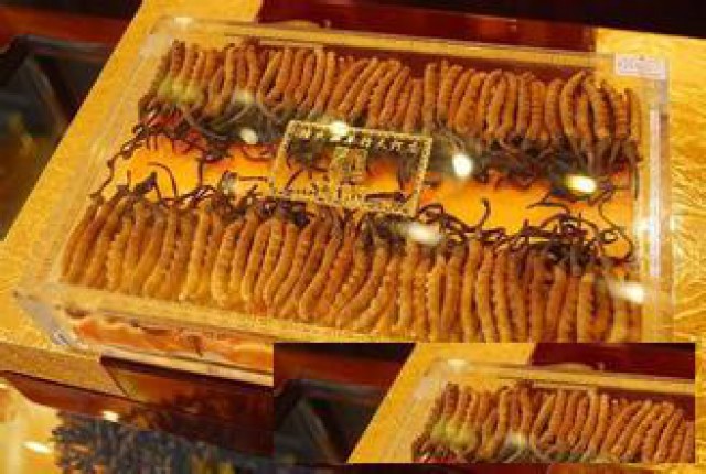 专业回收冬虫夏草礼品燕窝海参鱼胶