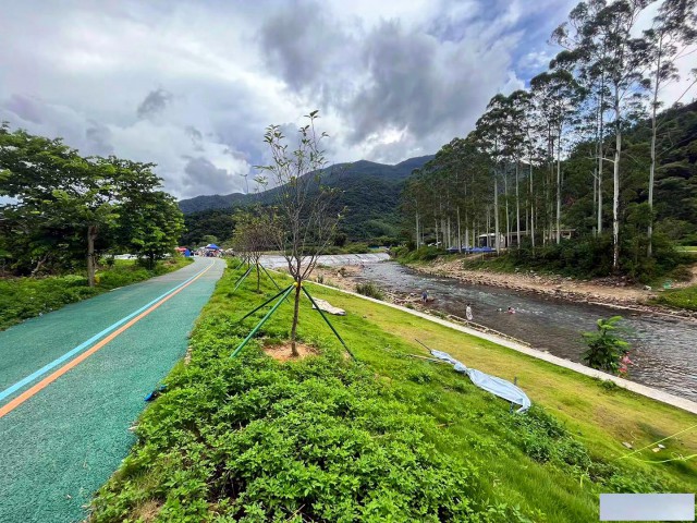 从化区良口设计小镇旅游区小河边4.5亩果园整体转让