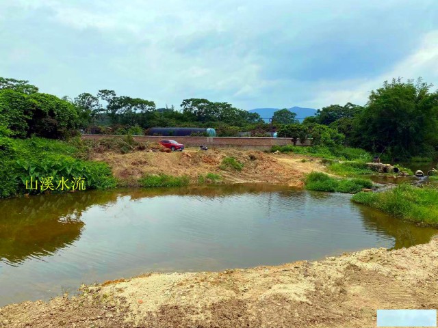 从化区城郊城康溪水边30亩鱼塘果园平地整体转让