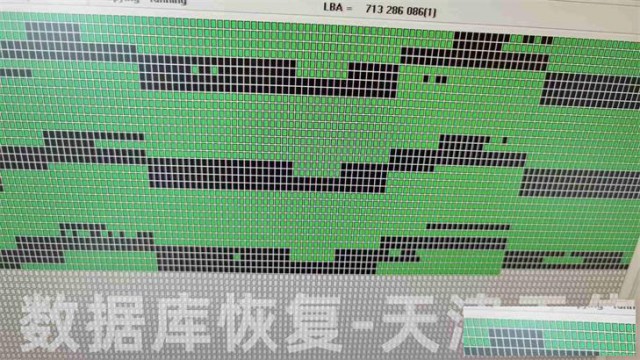 天伟数据库恢复及天津硬盘修复