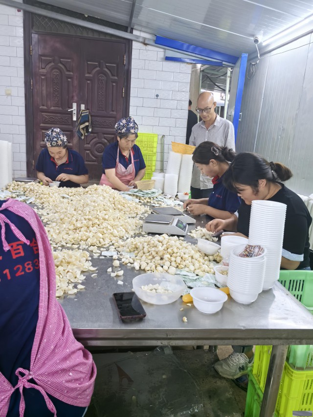 中药材种子种苗中药材种植技术中药材收购中药材种子种苗价格