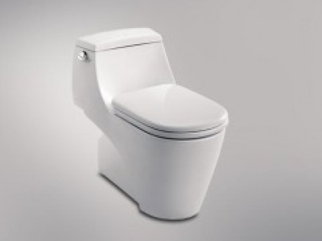 上海乐伊ROY马桶预约维修中心.浦东区马桶漏水.下水堵塞维修