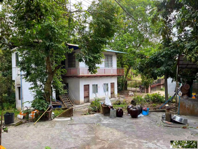 从化区太平高速出口附近40亩果园鱼塘楼房农庄转让