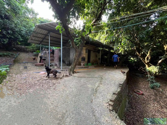 从化区龙潭墟附近10亩果园房屋养殖场整体转让