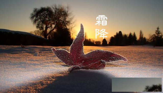 霜降时节，品味九江双蒸的醇厚