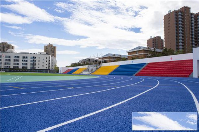 世界田径联合会的背景职能