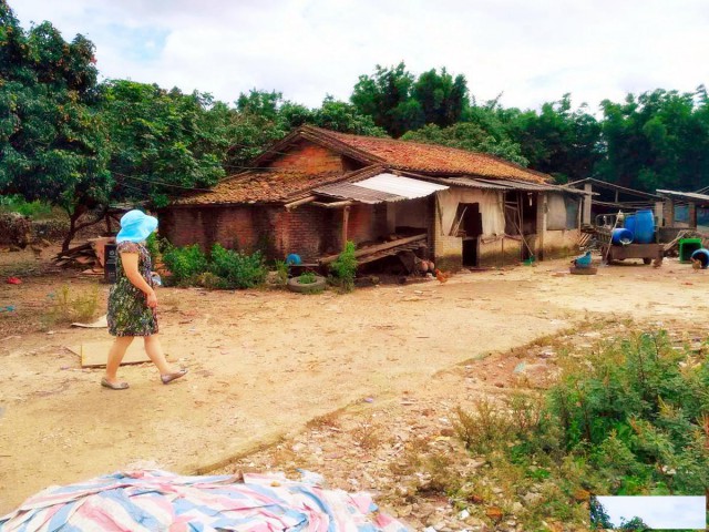 从化区横江大道边30亩平地果园房屋农庄整体转让