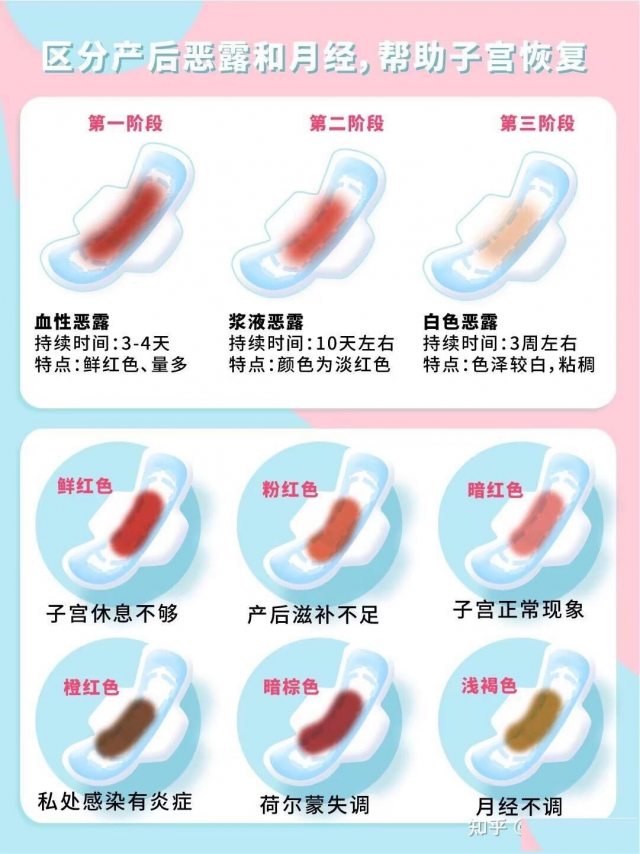 产后恶露与产后修复