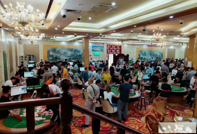 新胜公司网址登录在线客服电话