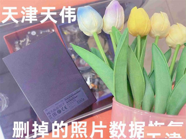 磁盘格式化后数据恢复/天伟天津硬盘数据恢复