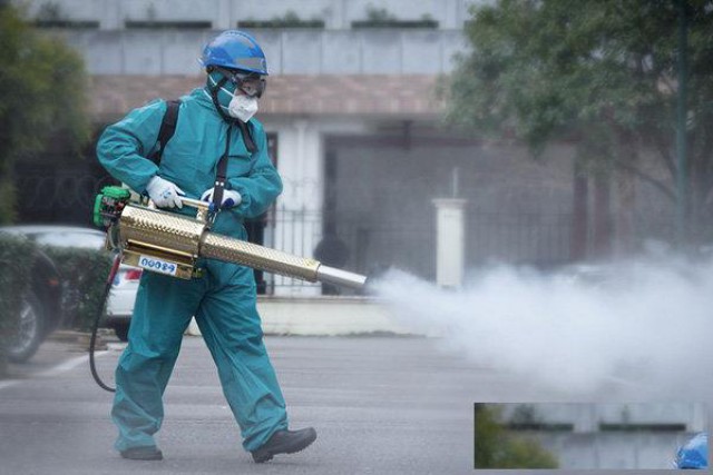 北京室内外消杀，华人环境专业消杀员上门服务。