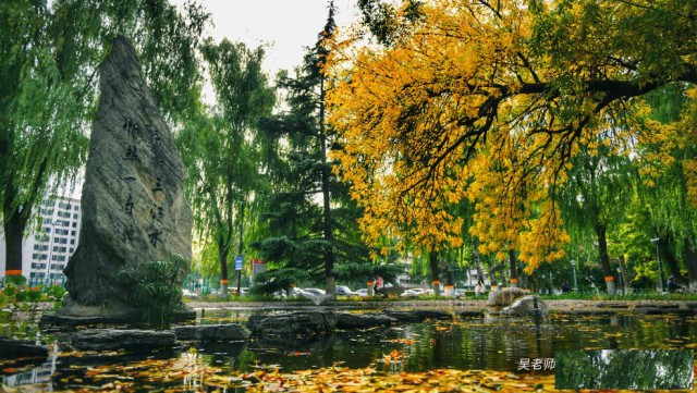 当春日遇上金融梦：社科院与杜兰大学金融管理硕士的金色旅程