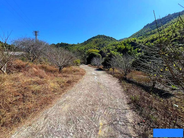 从化区良口镇旅游区溪水边3亩亩山地果园整体转让