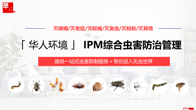 北京宾馆酒店消杀除四害，专业一站式服务，安全放心无忧