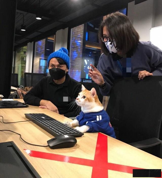 加拿大澳洲新西兰英国签证拒签翻案上诉申诉