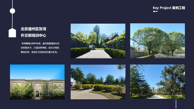 朝阳区企业绿化养护、绿化施工、树木栽种、绿化养护服务外包托管