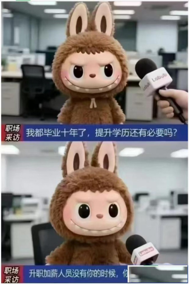 为什么要提升学历