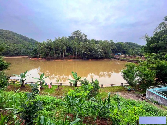 从化区太平35亩休闲庄园鱼塘民宿度假山庄整体出租