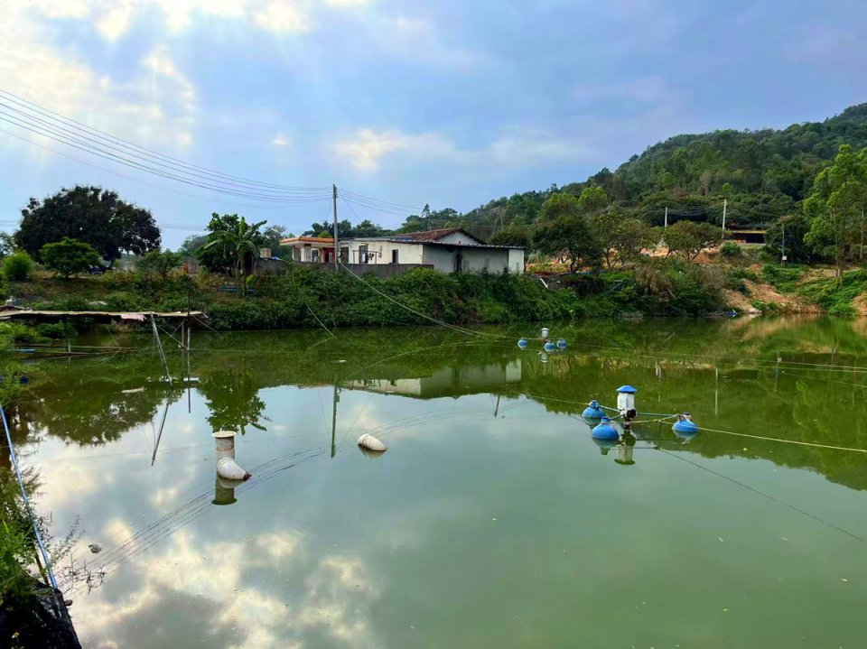 从化区100亩养殖场及鱼塘农场综合整体体出租