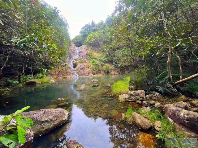 从化温泉旅游区附近溪水边20亩山地果园整体转让