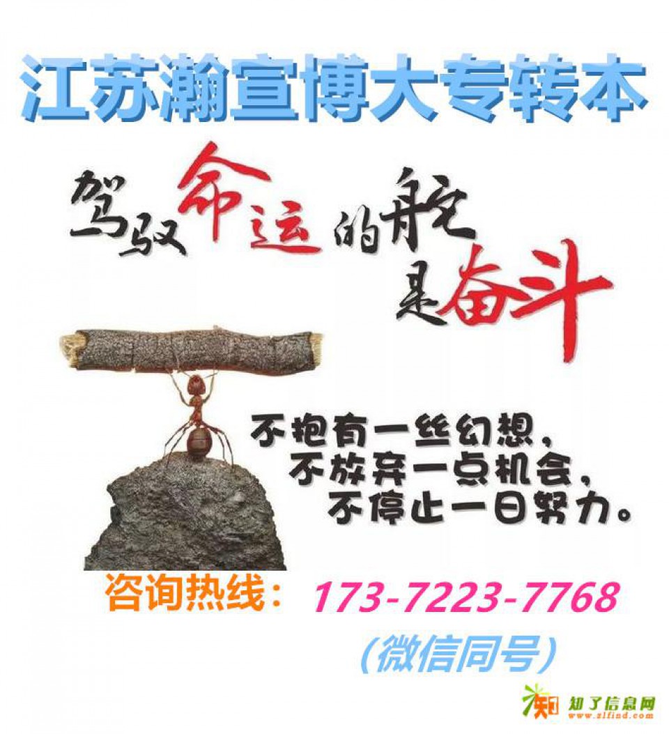 江苏五年制专转本英语备考要诀：坚持与方法铸就上岸路！