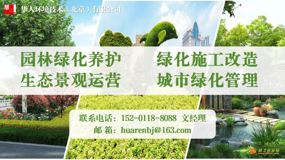 亦庄新城闲置土地清除杂草  垃圾清运  土地平整  铺设防尘网等一站式服务