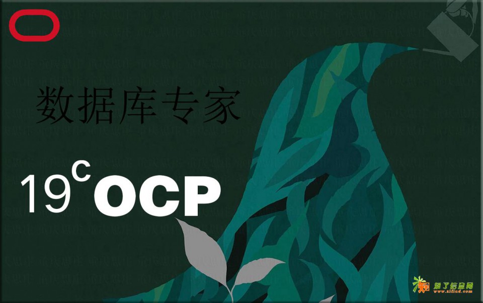 OPC数据库周末培训班报名体验过的理念庆云