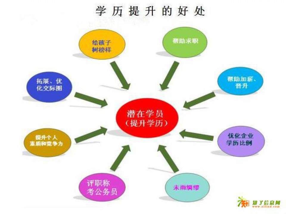 上以专转本为笔，在瀚宣博大书写青春翻盘