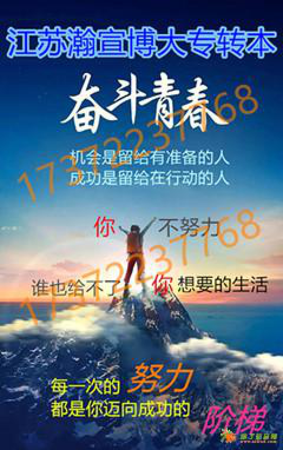 江苏五年制专转本秘书学专业：两校考核重点与全程备考规划方案！