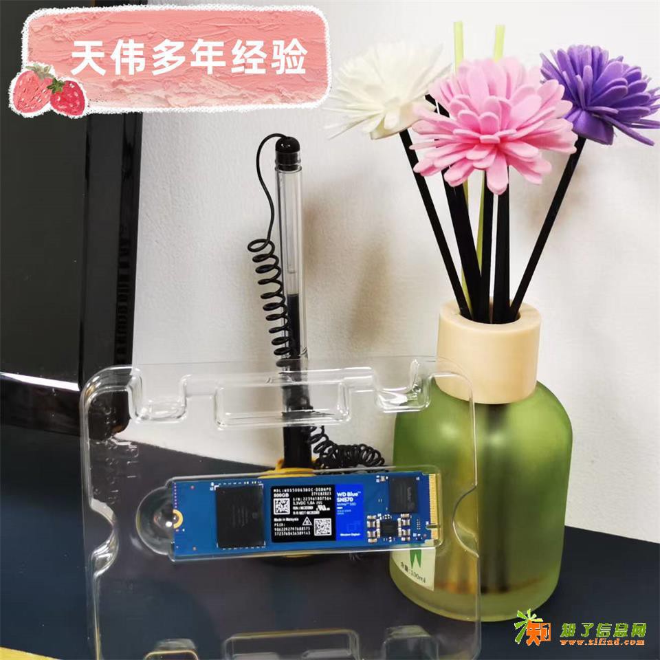 西部数据固态硬盘数据恢复|天伟天津数据恢复