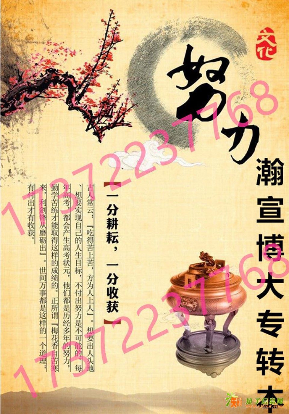 南理工物流管理专业：瀚宣博大五年制专转本备考精要解析！